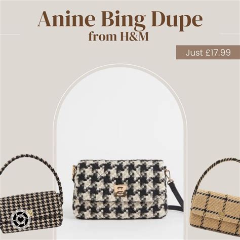 anine bing dupe